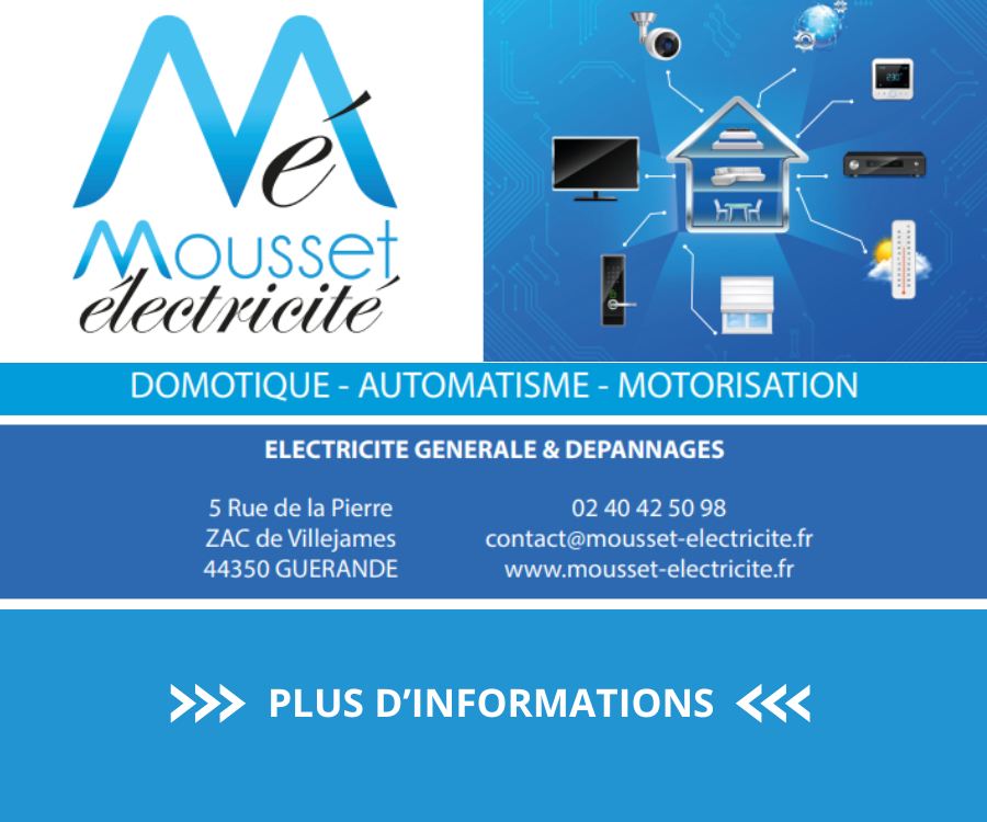 advertisement